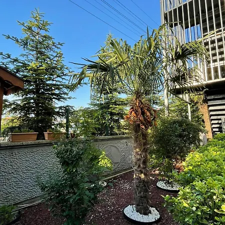 Terrace Cordon Palace * Sakarya (Marmara)