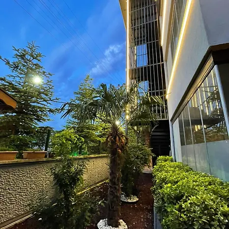 Terrace Cordon Palace Bed and breakfast *